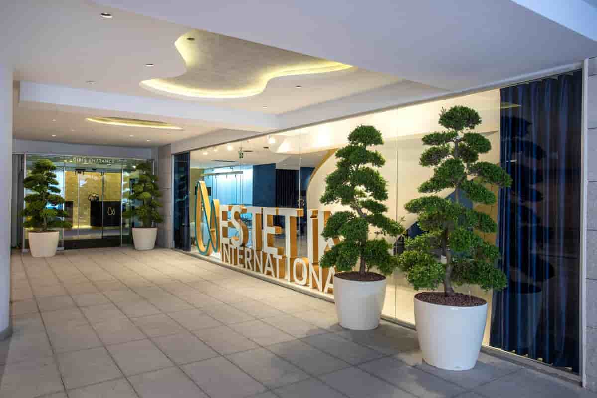Estetik International Health Group en Istanbul,Bursa, Turkey Reseñas de pacientes reales Slider image 4