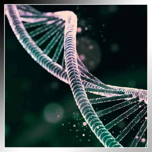 Implante de placenta para revitalización de piel y órganos en Cabo San Lucas, México