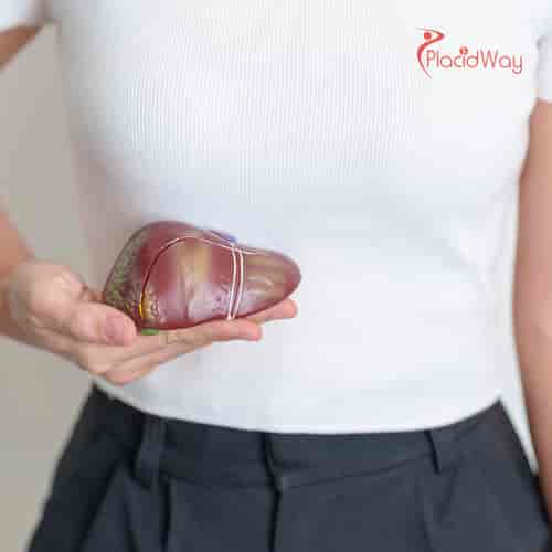 Paquete de Terapia con Células Madre para Cirrosis Hepática en la Clínica MexStemCells, Ciudad de México, México