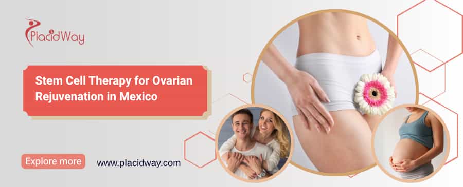 Terapia con células madre para el rejuvenecimiento ovárico en México thumbnail