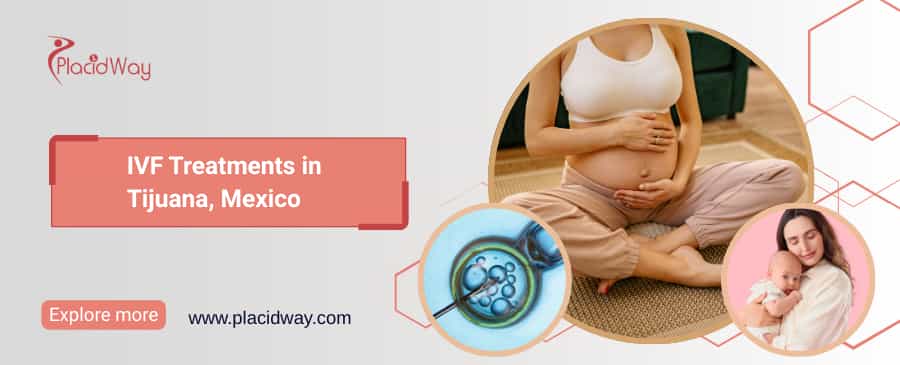 FIV en Tijuana, México thumbnail