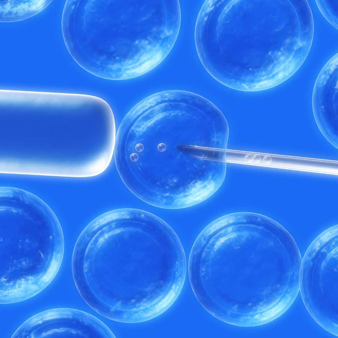 Costo de la terapia con células T CAR en China y clínicas
