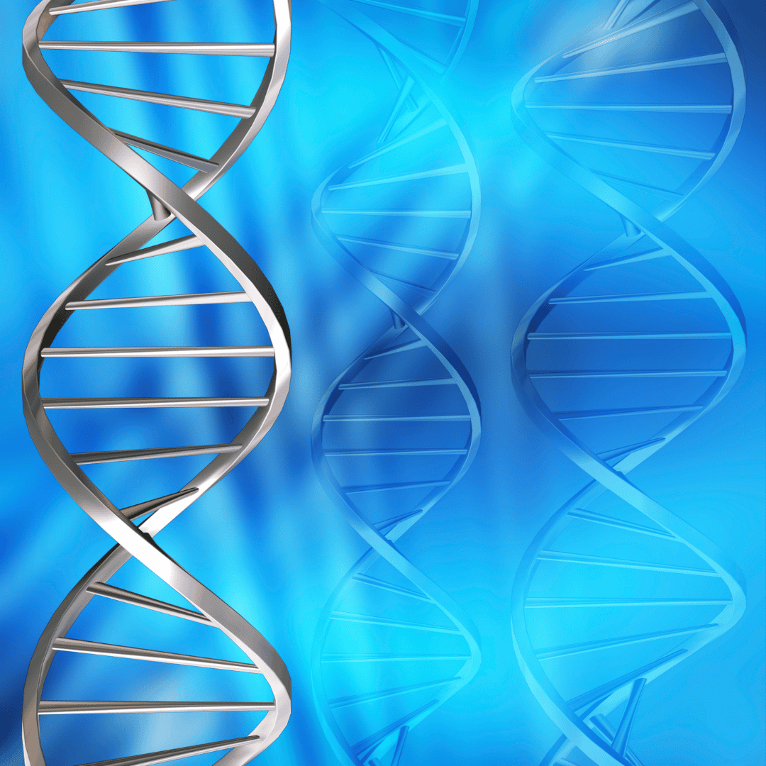 Terapia con células madre en Alemania