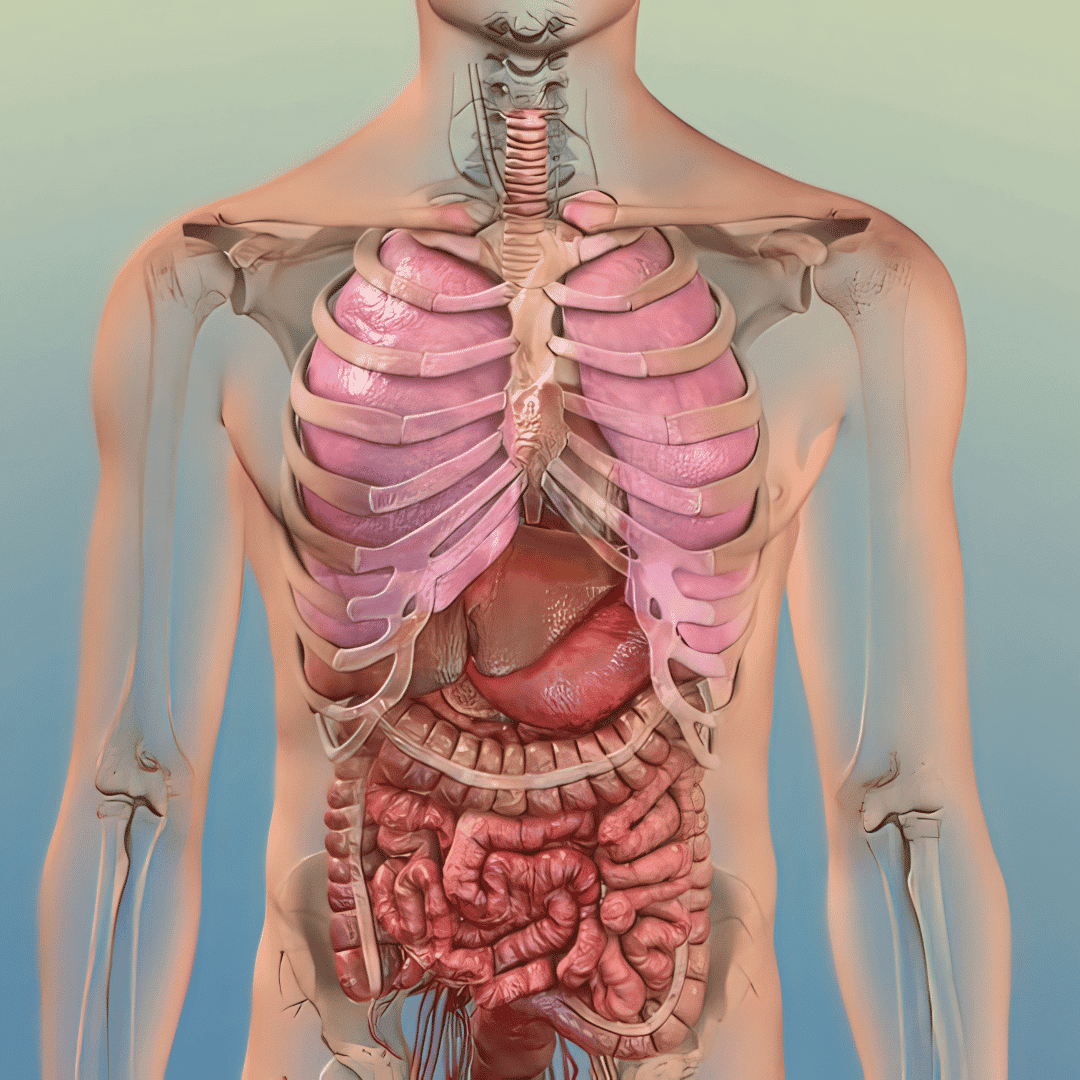 Tratamiento alternativo del cáncer de pulmón en México