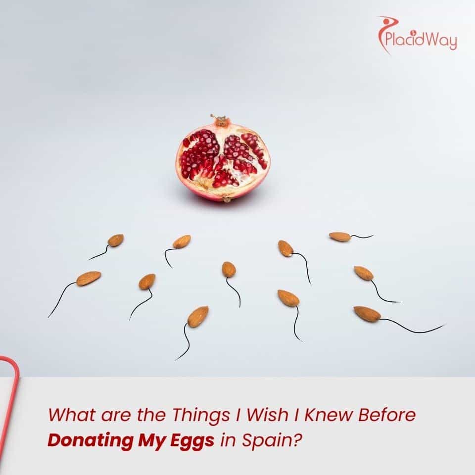 ¿Qué cosas me hubiera gustado saber antes de donar mis óvulos en España?