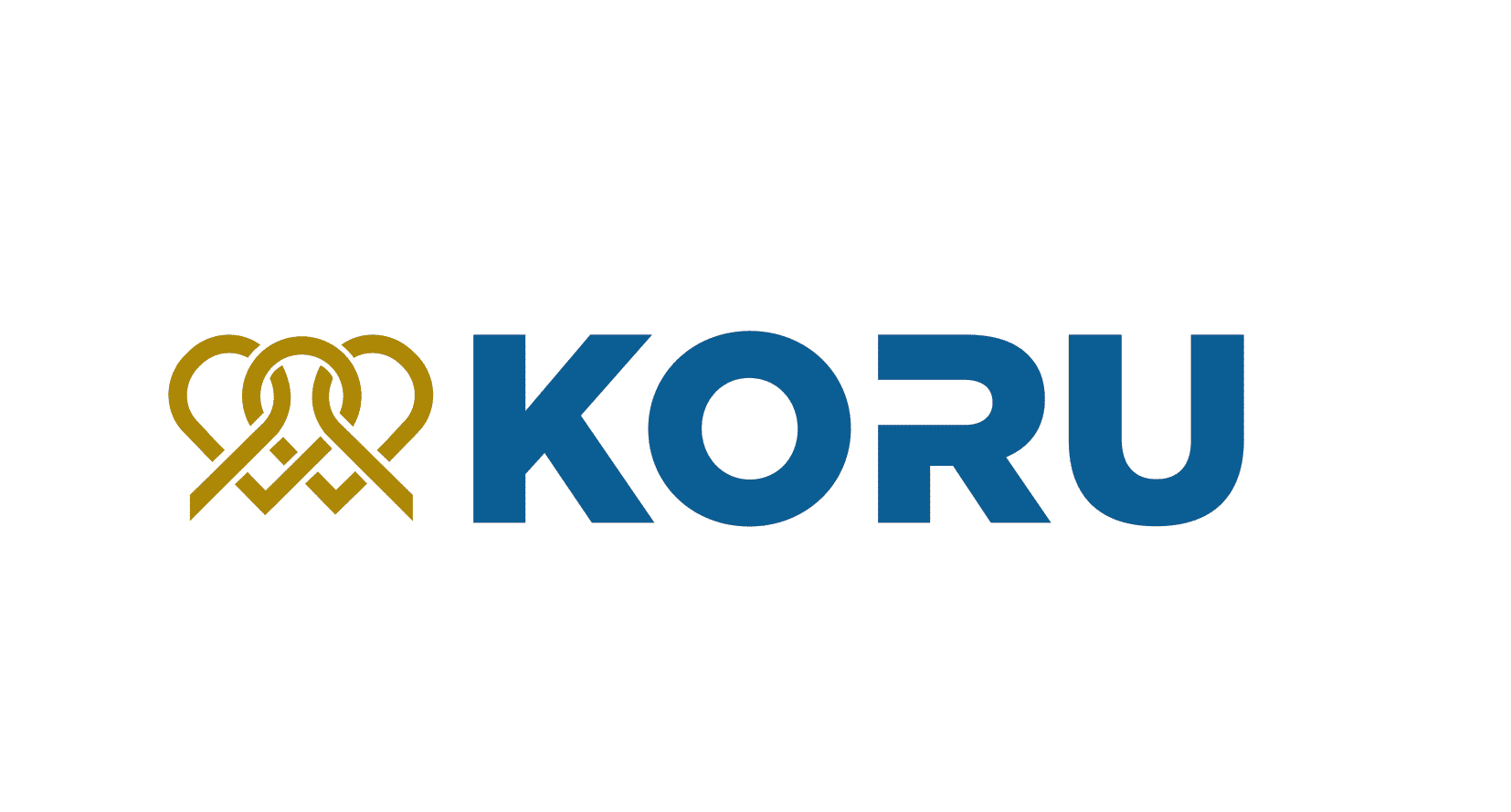 Private Koru Ankara Hospital